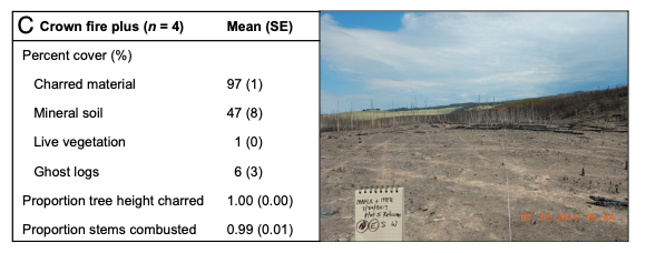 Turner et al. (2019) Figure 1c (crown fire plus)